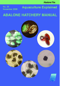 Abalone / Red abalone / Pāua / Haliotis rubra / Haliotis iris / Haliotis midae / Haliotis discus / Haliotis diversicolor / Haliotis corrugata / Haliotidae / Phyla / Protostome