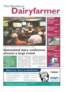 Cattle / Milk / Kirin Group / Food industry / Dairy Industry Association of Australia / Dairy / Fonterra / Oak / Malanda /  Queensland / Agriculture / Livestock / Dairy farming