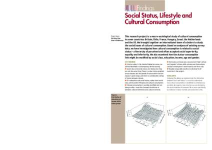 4  Findings Social Status, Lifestyle and Cultural Consumption