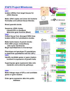 IFAFS Project Milestones  Pituitary Breast