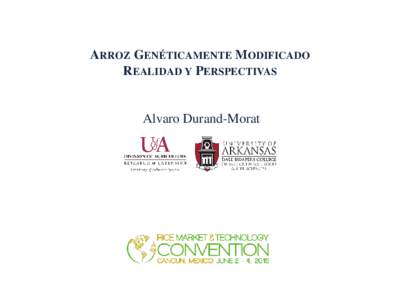 ARROZ GENÉTICAMENTE MODIFICADO REALIDAD Y PERSPECTIVAS Alvaro Durand-Morat  Introducción