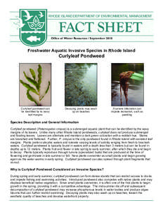 RHODE ISLAND DEPARTMENT OF ENVIRONMENTAL MANAGEMENT  FACT SHEET Office of Water Resources / September[removed]Freshwater Aquatic Invasive Species in Rhode Island