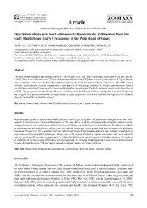 Description of two new fossil echinoids (Echinodermata: Echinoidea) from the Early Hauterivian (Early Cretaceous) of the Paris Basin (France)