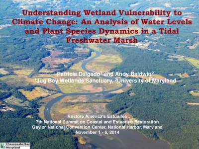 Understanding Wetland Vulnerability to Climate Change: An Analysis of Water Levels and Plant Species Dynamics in a Tidal Freshwater Marsh  Patricia Delgado1 and Andy Baldwin2