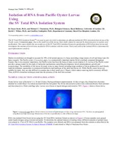 Food and drink / RNA / Pacific oyster / RNA extraction / Oyster / Crassostrea / Phyla / Protostome / Ostreidae