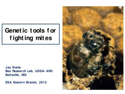 Genetic tools for fighting mites Jay Evans Bee Research Lab, USDA-ARS Beltsville, MD