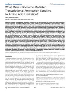 What Makes Ribosome-Mediated Transcriptional Attenuation Sensitive to Amino Acid Limitation? Johan Elf, Ma˚ns Ehrenberg Department of Cell and Molecular Biology, Uppsala University, Uppsala, Sweden