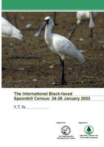 The International Black-faced Spoonbill Census: 24-26 January 2003 Y. T. Yu