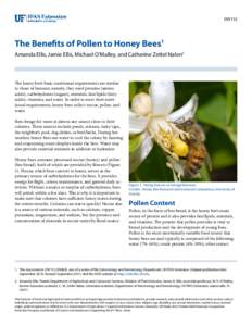 Beekeeping / Plant reproduction / Pollination / Botany / Hexapoda / Bee pollen / Honey bee / Forage / Pollen / Honey / Pollinator / Bee