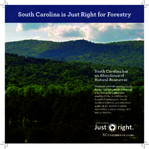 South Carolina is Just Right for Forestry  South Carolina has an Abundance of Natural Resources The state’s forests produce both