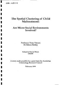 The Spatial Clustering of Child Maltreatment: Are Micro-social Environments Involved?