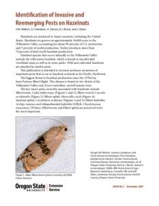 Identification of Invasive and Reemerging Pests on Hazelnuts, EM 8946-E (Oregon State University Extension Service)