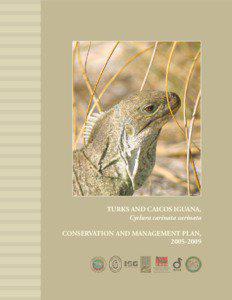 F  Turks & Caicos Iguana, 2005–2009, Conservation and Management Plan