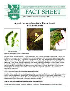 RHODE ISLAND DEPARTMENT OF ENVIRONMENTAL MANAGEMENT  FACT SHEET Office of Water Resources / September[removed]Aquatic Invasive Species in Rhode Island:
