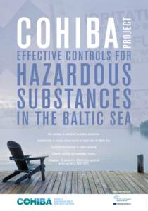 New methods to control of hazardous substances. Identification of sources and estimation of inputs into the Baltic Sea. Cost effective solutions to reduce pollution. Capacity building and knowledge transfer.  L AYO UT: A