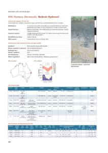 Australian soils and landscapes  HY6: Humose, Dermosolic, Redoxic Hydrosol m  General description of the soil