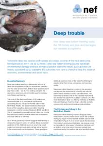 Deep trouble How deep-sea bottom trawling costs the EU money and jobs and damages our valuable ecosystems  Vulnerable deep-sea species and habitats are subject to some of the most destructive