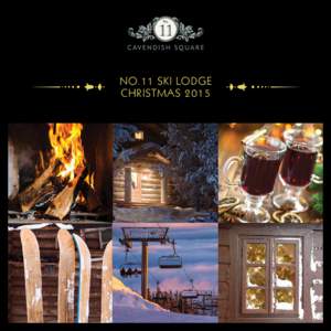 NO.11 SKI LODGE CHRISTMAS 2015 	  After a day on the slopes or just a day