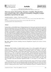 Three new species of horned frogs, Megophrys (Amphibia: Megophryidae), from northeast India, with a resolution to the identity of Megophrys boettgeri populations reported from the region