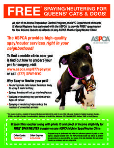 FREE  * SPAYING/NEUTERING FOR QUEENS’ CATS & DOGS!