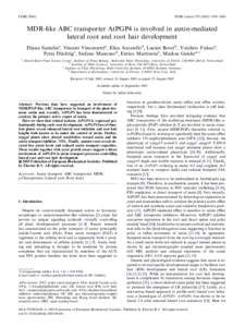 FEBSFEBS Letters–5406 MDR-like ABC transporter AtPGP4 is involved in auxin-mediated lateral root and root hair development