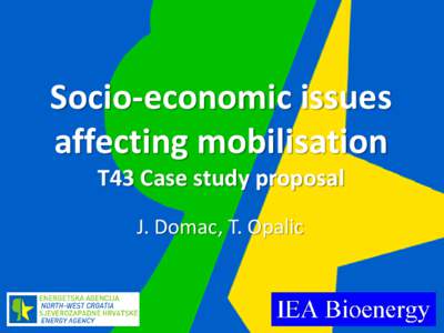 Socio-economic issues affecting mobilisation T43 Case study proposal J. Domac, T. Opalic  Socio-economics – what is it?