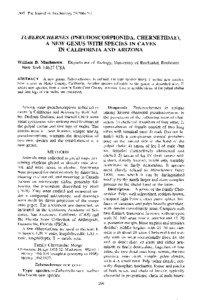 [removed]The Journal of Arachnology 25 :206–21 2  TUBEROCHERNES (PSEUDOSCORPIONIDA, CHERNETIDAE) ,