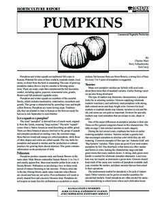 MF2030 Pumpkins: Commercial Vegetable Production