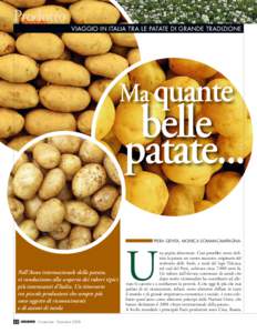 Prodotto Prodotto VIAGGIO IN ITALIA TRA LE PATATE DI GRANDE TRADIZIONE