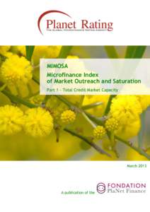 MIMOSA Microfinance Index of Market Outreach and Saturation Part 1 – Total Credit Market Capacity  March 2013