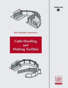 Bulletin 906  Beef Quality Assurance Cattle Handling and