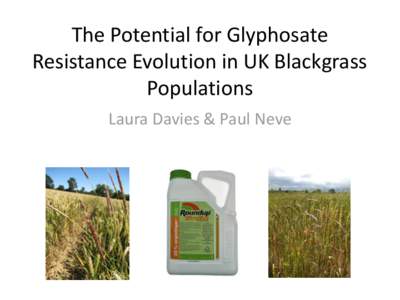 The Potential for Glyphosate Resistance Evolution in UK Blackgrass Populations Laura Davies & Paul Neve  Glyphosate resistance