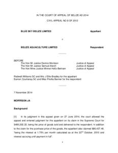 IN THE COURT OF APPEAL OF BELIZE AD 2014 CIVIL APPEAL NO 8 OF 2012 BLUE SKY BELIZE LIMITED  Appellant