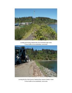 Looking north along Oakland Bay from Goldsborough Creek 75 foot buffer to be established, none exists Looking North at North end of Oakland Bay towards Shelton Creek 75 foot buffer to be established, none exists