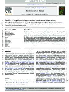 Focal Scn1a knockdown induces cognitive impairment without seizures