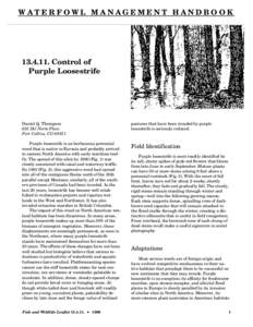WATERFOWL MANAGEMENT HANDBOOK[removed]Control of Purple Loosestrife  Daniel Q. Thompson