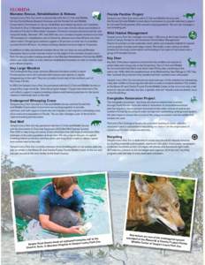 Conservation / Zoos / Lowry Park Zoo / Zoo / Key Largo Woodrat / Manatee / Captive breeding / Species Survival Plan / Whooping Crane / Biology / Zoology / Sirenians