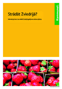 Strādāt ArbetaZviedrijā? i Sverige? Informācija kassom strādā