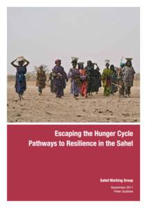 Acknowledgements Many people generously contributed to the study by participating in workshops and interviews, and by providing documentation and ideas. These include people from Chad, Niger, Burkina Faso, Mali and Sene