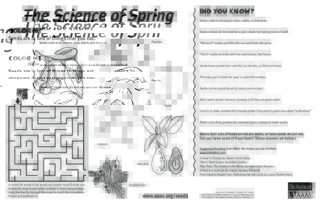 The Science of Spring Color me Did You Know? Seeds come in all shapes, sizes, colors, and textures. Seeds contain all the material a plant needs for making more of itself.