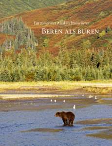 Een zomer met Alaska’s bruine beren  Beren als buren 3