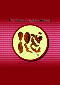 Curcumae Longae Rhizoma (C) 11