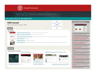 THE LIFE CYCLE OF INFORMATION VIVO Cornell Timeline VIVO Cornell Store and share data in RDF INPUT