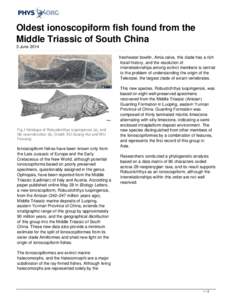Oldest ionoscopiform fish found from the Middle Triassic of South China