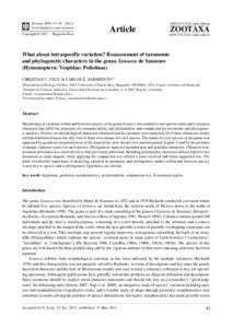 What about intraspecific variation? Reassessment of taxonomic and phylogenetic characters in the genus Synoeca de Saussure (Hymenoptera: Vespidae: Polistinae)