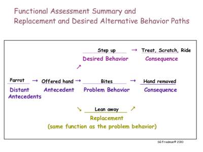 Functional Assessment Summary and Replacement and Desired Alternative Behavior Paths Step up  _________________________________