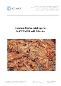 Common fish by-catch species in CCAMLR krill fisheries Address 181 Macquarie Street, Hobart, Tasmania 7000, Australia  Web www.ccamlr.org
