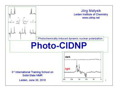 Jörg Matysik Leiden Institute of Chemistry www.cidnp.net