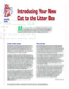 BEHAVIOR SERIES Introducing Your New Cat to the Litter Box