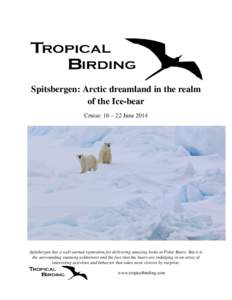 Spitsbergen: Arctic dreamland in the realm of the Ice-bear Cruise: 16 – 22 June 2014 Spitsbergen has a well-earned reputation for delivering amazing looks at Polar Bears. But it is the surrounding stunning wilderness a